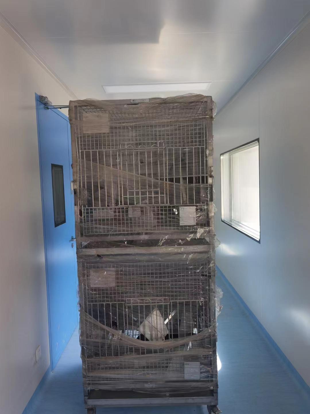 動(dòng)物房實(shí)驗(yàn)室