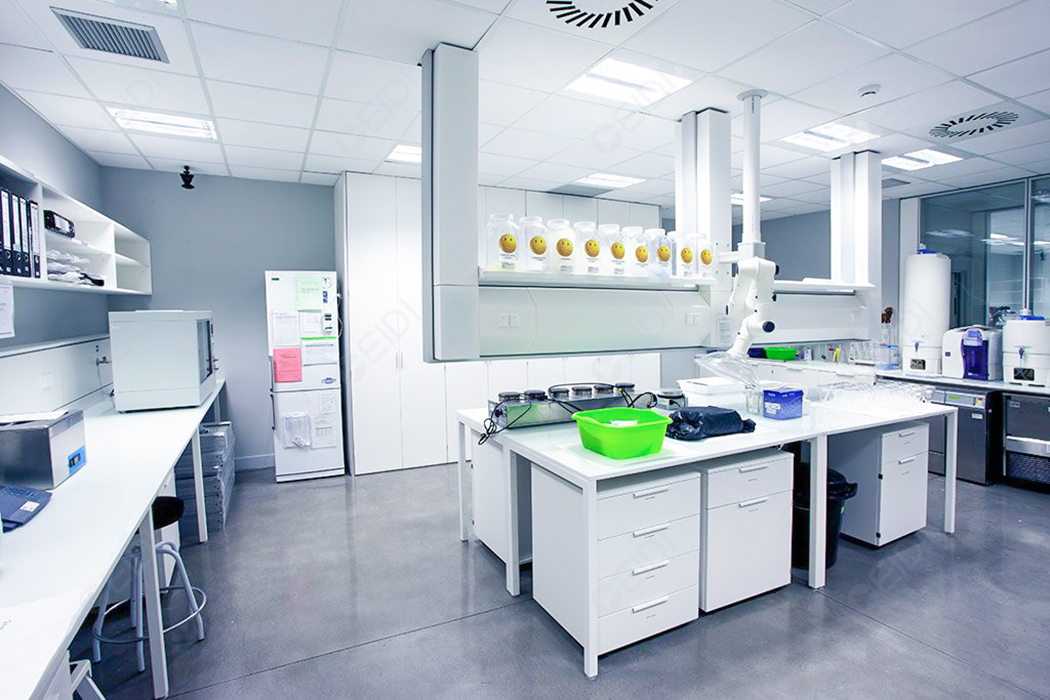 實驗室建設(shè)